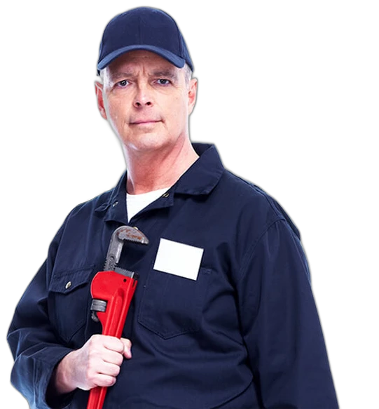 Power flushing